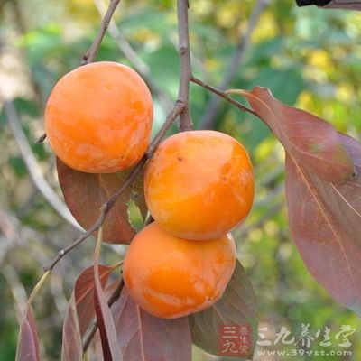 柿子本身性質寒澀而斂滯,有滋陰潤燥的作用,但不適於風寒型感冒群體 柿子本身性質寒澀而斂滯,有滋陰潤燥的作用,但不適於風寒型感冒群體