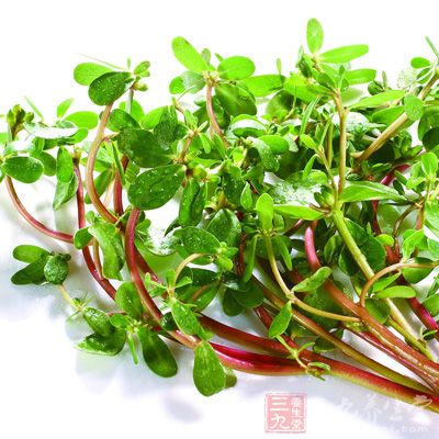 其性寒滑,故懷孕早期,尤其是有習慣性流產史者忌食之 其性寒滑,故懷孕早期,尤其是有習慣性流產史者忌食之