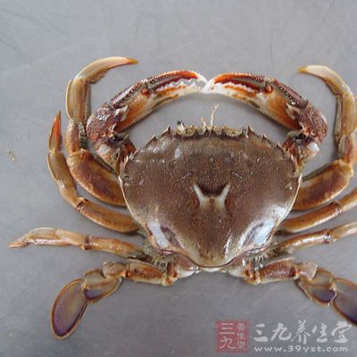 螃蟹的屬性比較寒涼 螃蟹的屬性比較寒涼
