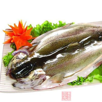 虹鳟魚
