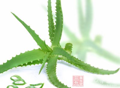 蘆荟味極苦，性大寒，功能瀉下、殺蟲、清熱