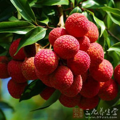 荔枝味甘、酸，性溫，有補脾益肝、生津止渴、解毒止瀉等功效