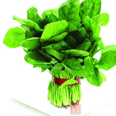 菠菜能解熱毒、酒毒，蓋因寒則療熱，菠菜氣味既冷
