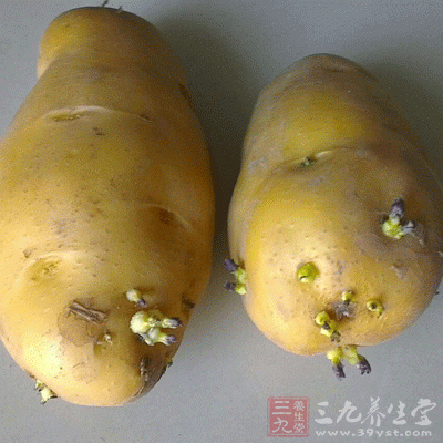 馬鈴薯是家庭餐桌上經常食用的蔬菜之一
