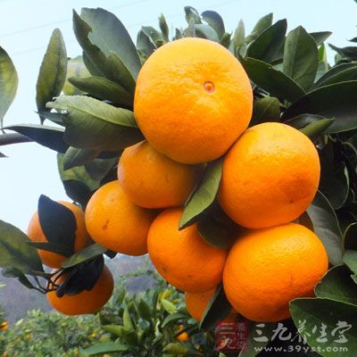 只有部分水果，如西瓜、香蕉、菠蘿等升糖指數(GI)較高，升血糖較快，而其余大部分水果，如蘋果、梨、葡萄、桃、橘子等，升血糖不快