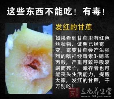 內部發紅甘蔗，嚴重可致呼吸衰竭