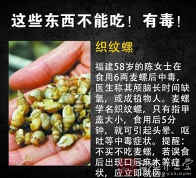 織紋螺可引發頭暈、嘔吐