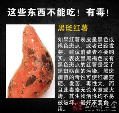 黑斑紅薯毒性大