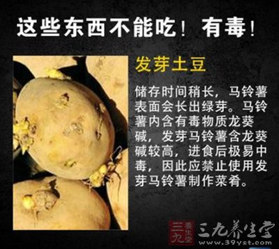 發芽土豆極易中毒