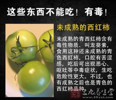 未成熟青西紅柿有毒