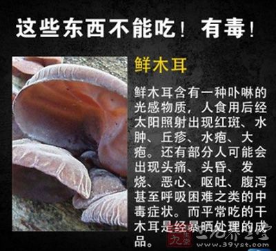 鮮木耳可能頭痛、頭昏、發燒