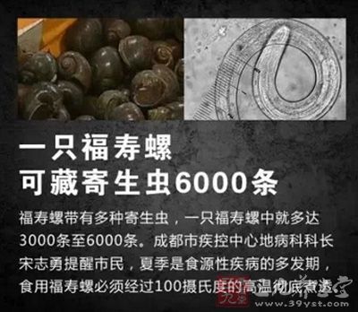 福壽螺可藏寄生蟲6000條