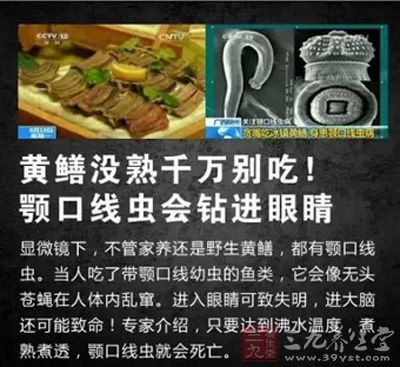 黃鳝沒熟千萬別吃