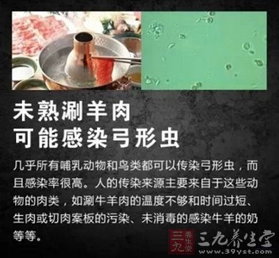 未熟刷羊肉可能會感染弓形蟲