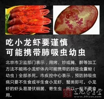 小龍蝦可能攜帶肺吸蟲幼蟲