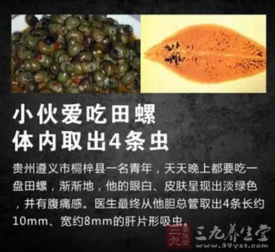 田螺中有很多蟲