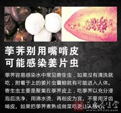 吃荸荠需謹慎，可能會感染姜片蟲