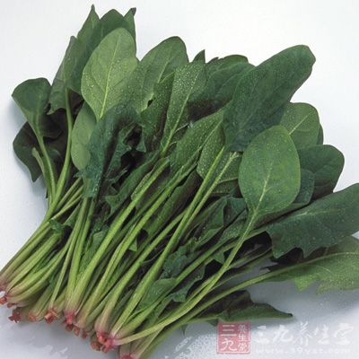 菠菜能促進人體新陳代謝,延緩衰老 菠菜能促進人體新陳代謝,延緩衰老