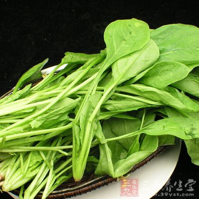 菠菜中的維生素K具有促進骨鈣形成的強大功效 菠菜中的維生素K具有促進骨鈣形成的強大功效