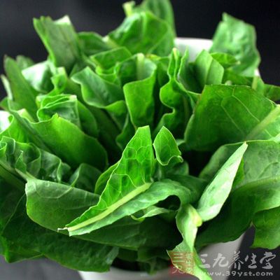菠菜不宜與牛奶等鈣質含量高的食物同食 菠菜不宜與牛奶等鈣質含量高的食物同食