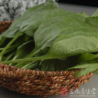 菠菜的營養非常豐富 菠菜的營養非常豐富