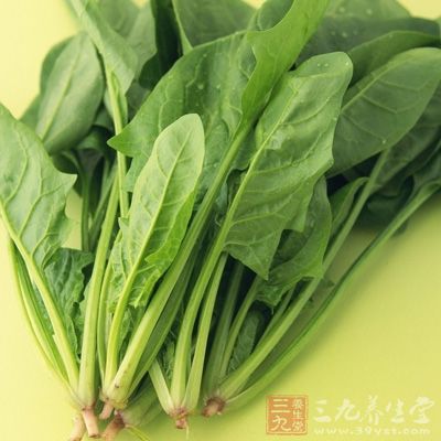 菠菜，是季節變化值最大的一種蔬菜