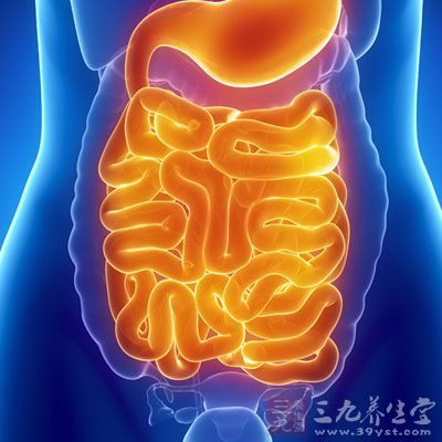 健康的腸並非完全沒有壞菌的存在，有害物質多少會產生