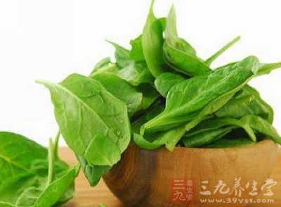吃快腐爛的菠菜可導致亞硝酸鹽中毒 吃快腐爛的菠菜可導致亞硝酸鹽中毒