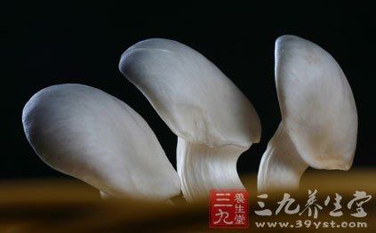 蘑菇