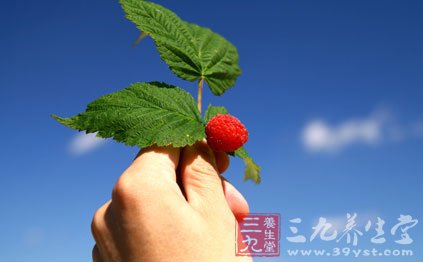 櫻桃的葉子和種子