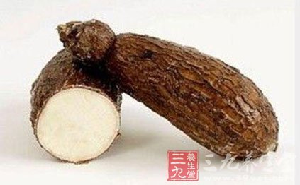 木薯