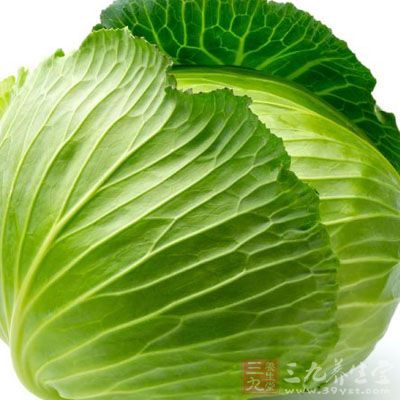 卷心菜 卷心菜