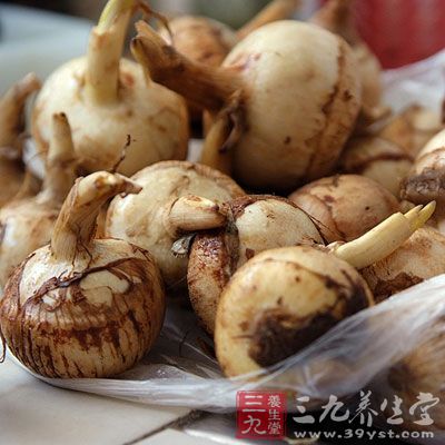 慈姑功專破血,通淋,滑胎 慈姑功專破血,通淋,滑胎