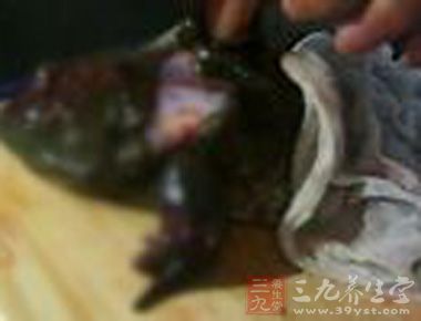 孩子吃蛙肉的健康威脅