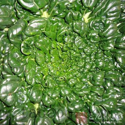 細選食物——少疾病 細選食物——少疾病