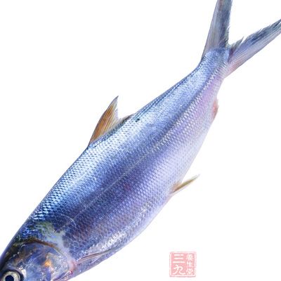 沙丁魚、鳳尾魚等海魚屬於高嘌呤食物，應忌吃