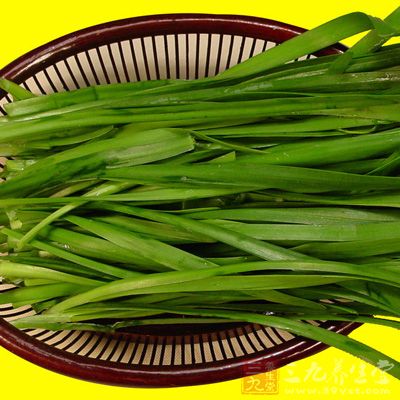 進補不可以吃韭菜