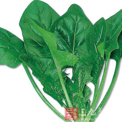 韭菜、冬瓜、絲瓜、菠菜 韭菜、冬瓜、絲瓜、菠菜