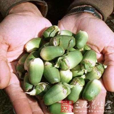 台灣人一年花費在吃槟榔的金額更高達900多億 台灣人一年花費在吃槟榔的金額更高達900多億