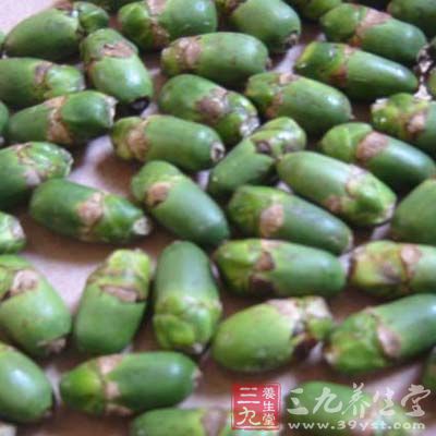 嚼食槟榔的人口急劇的在成長 嚼食槟榔的人口急劇的在成長