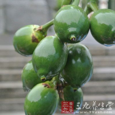 但是,現在不法商販加進去的麻黃草煮制出來的 但是,現在不法商販加進去的麻黃草煮制出來的