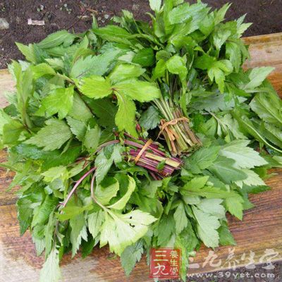 日常生活中人們所能接觸的野菜類食物都含有一定的嘌呤成分
