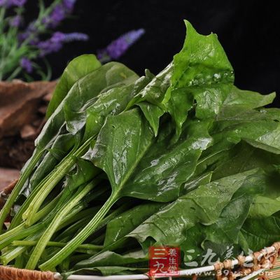 菠菜、芥菜等蔬菜極易富集硝酸鹽