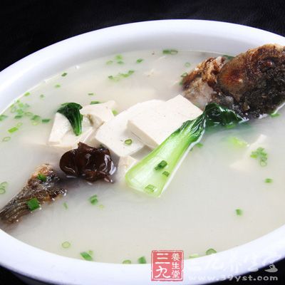 鲫魚豆腐湯 鲫魚豆腐湯