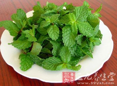 薄荷會放松食道括約肌