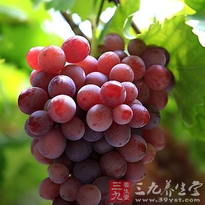 葡萄的18種食療處方