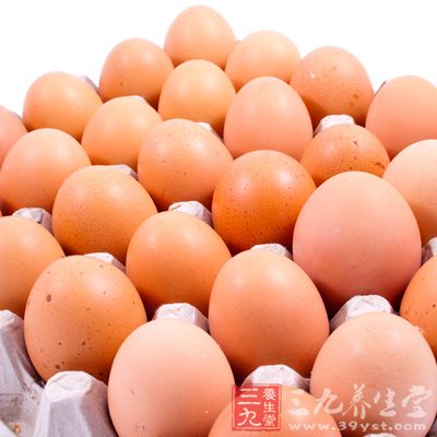 每天也應吃2-3個雞蛋