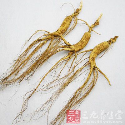 此外還可以吃點山參，山參藥性溫和，適合一般人群吃