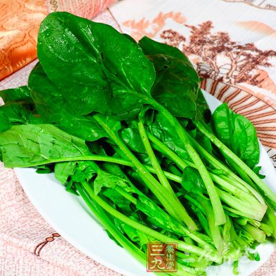 菠菜、芥菜等蔬菜極易富集硝酸鹽