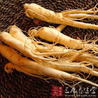 身體本無虛而服人參可致耳鳴、耳聾、胃脹滿